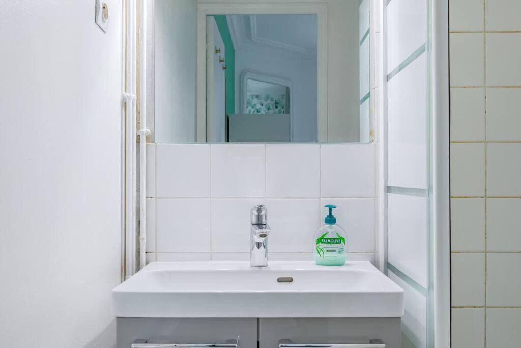 Apartment Colore Et Lumineux A Paris